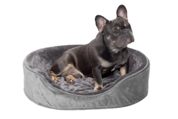 Oval Dog Bed - Plush & Velvet - Image 7