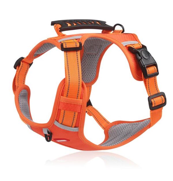 No Pull Dog Harness for Pets - Image 8