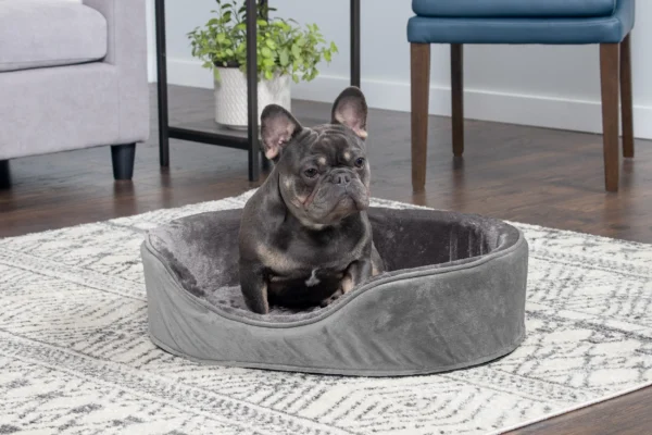 Oval Dog Bed - Plush & Velvet - Image 12