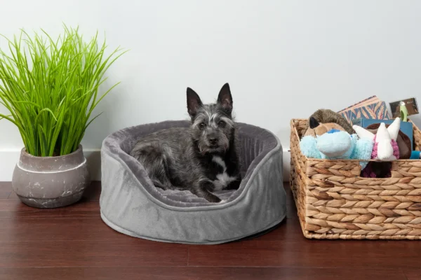 Oval Dog Bed - Plush & Velvet - Image 9