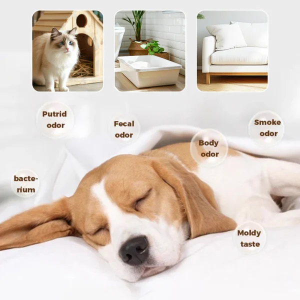 Pet Sterilizing Odor Eliminator for Strong Odor - Image 3