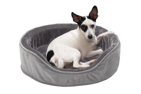 Oval Dog Bed - Plush & Velvet - Image 14