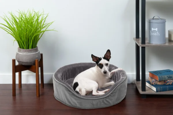 Oval Dog Bed - Plush & Velvet - Image 11
