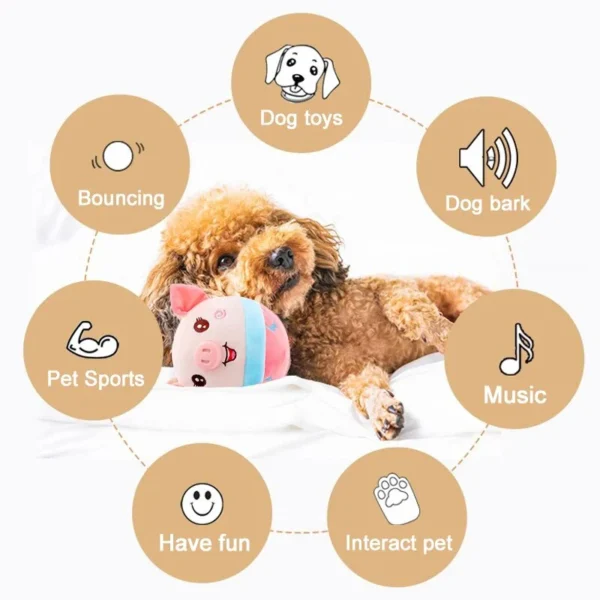 Active Moving Pet Plush Toy - 6 pcs - Image 3