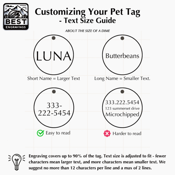 Small Silver Stainless Steel Round Pet ID - Customizable content - Image 3