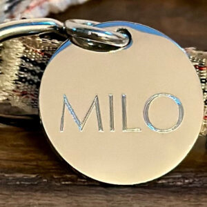 Small Silver Stainless Steel Round Pet ID - Customizable content